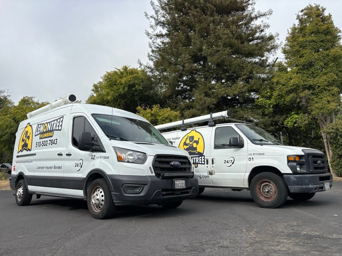 Two branded LemonTree Plumbing service vans