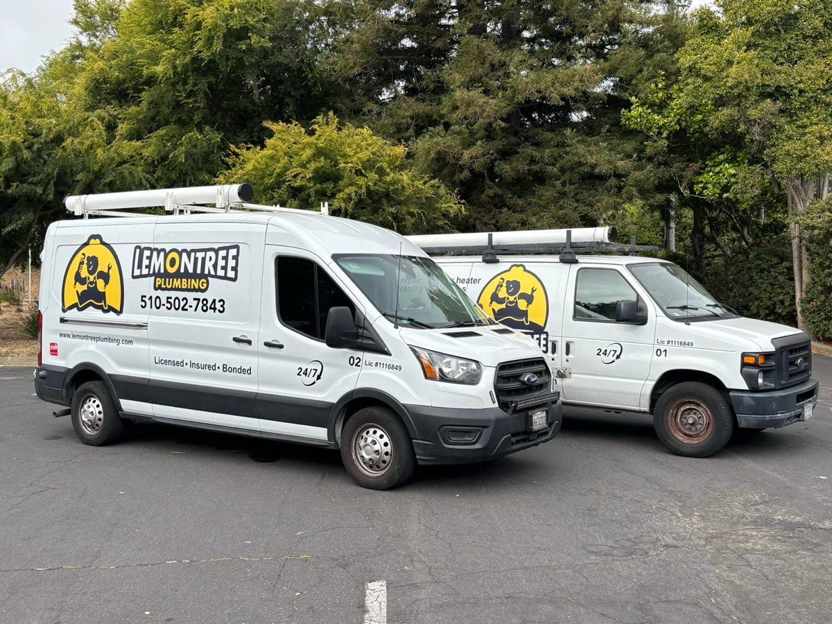 LemonTree Plumbing service vans with company branding