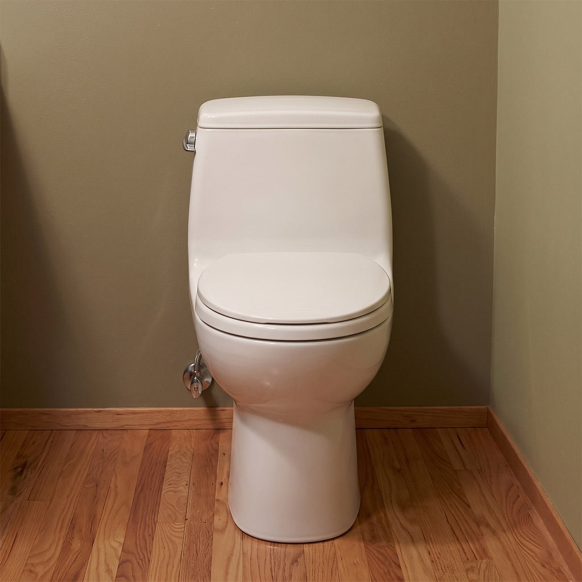 Whole-house water filter tanks